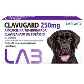 Clavugard-250-mg-Antimicrobiano-caes-e-gatos-10-comprimidos